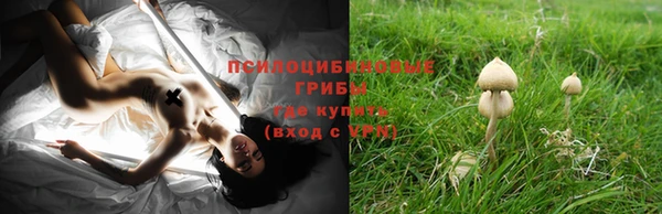 а пвп мука Абдулино