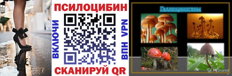 цены   Людиново  Псилоцибиновые грибы Psilocybe 